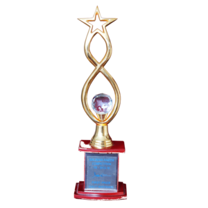 2015-16 Award