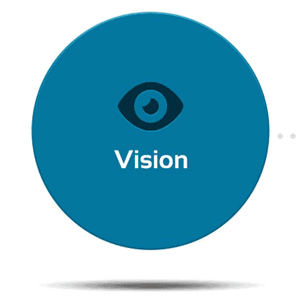 Vision