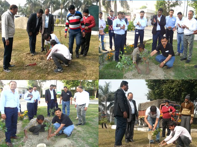 Plantation Drive
