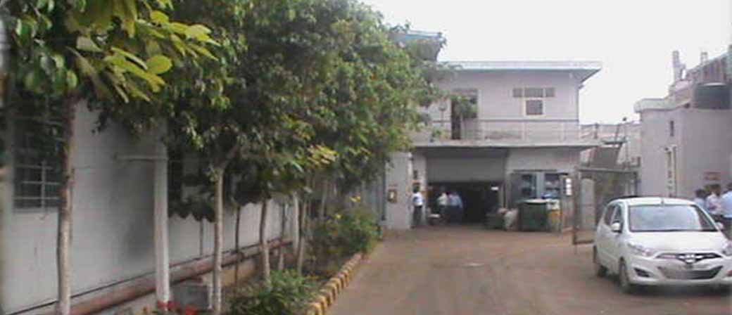 AK Automatic II Plant