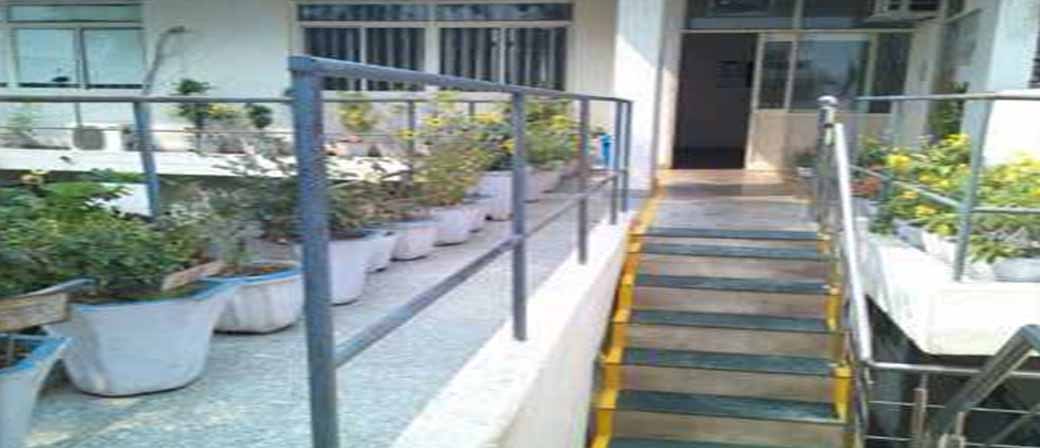 Rohtak Plant